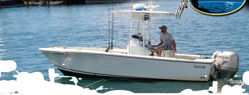 Martha's Vineyard Custom Charters